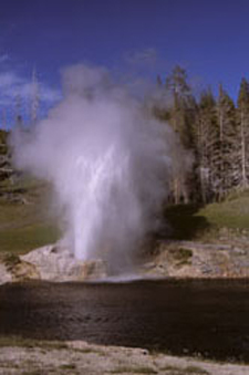 USA-Wyoming-Yellowstone Hiker